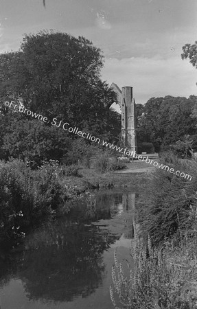 ABBEY RUINS FROM E.